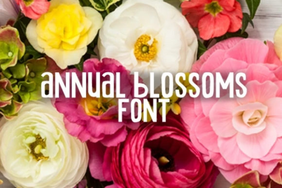 Annual Blossom: A Versatile Display Font for Modern Web Design