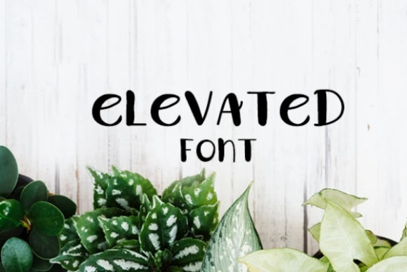 Elevated: A Playful Font for Creative Branding