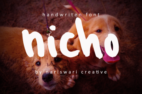 Nicho: A Display Font That Elevates Branding with Personality
