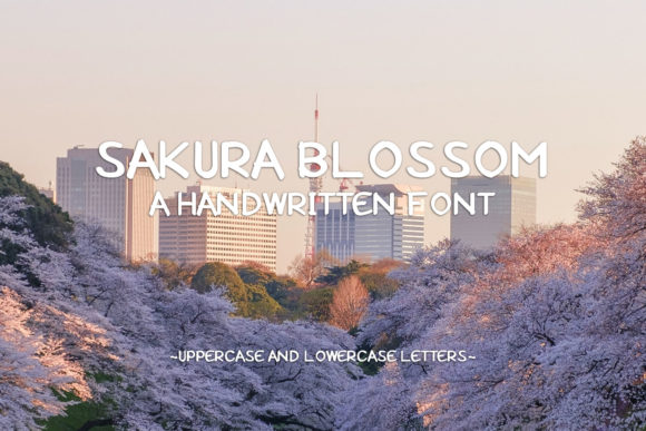 Sakura Blossom: A Font That Elevates Branding with Elegance and Style