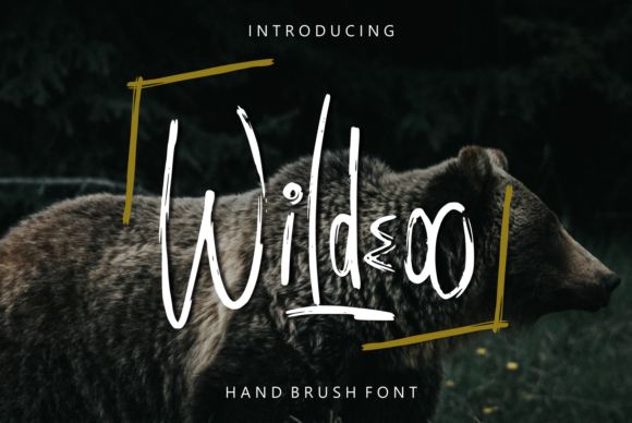 Wildeoo: A Display Font That Elevates Brand Identity